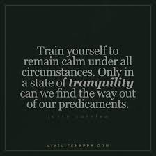 Train Yourself To Remain Calm Under All Circumstances Live Life Happy Tranquility Quotes Life Quotes Deep Calm Quotes