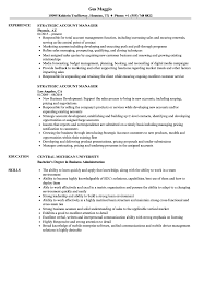 Your accounting manager resume has to prove your planning abilities and leadership skills. Strategic Account Manager Resume Samples Velvet Jobs