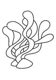 Coloriage D Algue Marine Un Coloriage Simple Ideal Pour Un Diy Ou Realiser Un Collage Une Activite Manuelle Amusa Coloriage Coloriage Enfant Coloriage Arbre