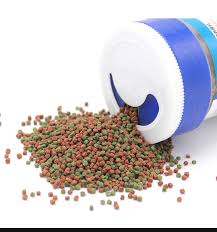 They never hesitate when they see food. Betta Fish Food Floating Pellet Food For Betta Buy Betta Fish Food Pellet Fish Food Flaoting Food For Betta Fish Product On Alibaba Com