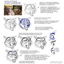 Animated Animal Expressions Animal Drawings Art Drawing Expressions