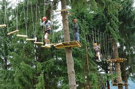 Nicio vizita in judetul hunedoara nu poate fi completa fara o plimbare la castelul huniazilor, caruia i se mai spune si castelul corvinilor. Turist In Hunedoara Evadare Din CaniculÄ La Rausor Glasul Hunedoarei