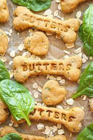 15 Best Homemade Dog Treat Recipes How To Make Diy Dog Treats