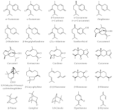 Tis memiliki 4,7 juta ton cadangan batubara dengan nilai kalori tinggi, 6.400 kkal per kilogram. Nutrients Free Full Text Chemical Composition And Biological Activities Of Essential Oils Of Curcuma Species Html