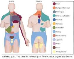 Pin On Visual Science