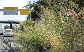 Une caméra haute résolution placée en hauteur prend en photo chaque mais, une fois les réglages effectués pour s'adapter à la conduite à gauche, nul doute que ce radar dernière génération sera installé sur les. Autoroute A3 Un Panneau Et Un Radar Masques Par Des Herbes Et Les Pv Tombent A La Chaine Le Parisien