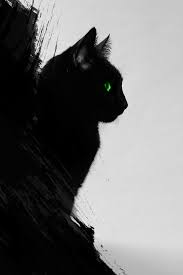Helping you stay up to date with current trends, such as grey, rose gold and even geometric wallpaper. Mobile Cat Wallpapers Android Iphone Smartphone Hd Wallpapers Purrfect Love