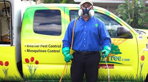 Maybe you would like to learn more about one of these? Mosquito Control Services By One Two Tree Miami