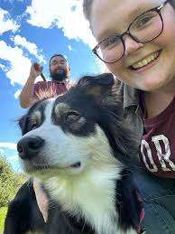 Dogs playing in the snow