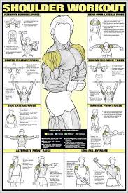 Dumbbell Workout 2 Poster Professional Fitness Wall Chart