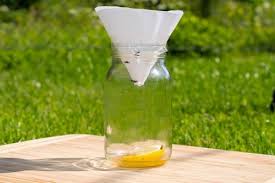 The original diy pest control supply store. 25 Ways To Get Rid Of Fruit Flies And Keep Them Away