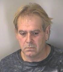 Suspects arrested for home break-ins, stealing cows