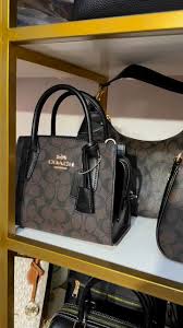 Available Onhand Coach Teri shouleder bag small 🔥