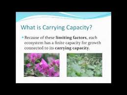 Limiting Factors And Carrying Capacity Teaching 5th Grade 6th Grade Science Middle School Science Teacher