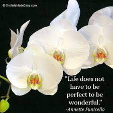 Orchid Quote Life Is Wonderful Orchidsmadeeasy Com Orchids Flowers Growing Orchids
