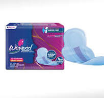 Anion Chip Sanitary Napkins for Freshness and Comfort | Wowpad