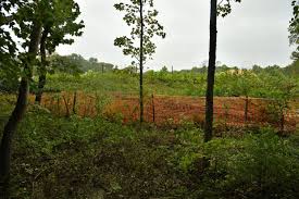 Annapolis gives Parkside Preserve contractor Friday deadline to address  environmental issues near Quiet Waters Park