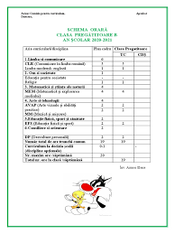 Pe parcursul anului școlar, toți elevii vor beneficia de. Schema OrarÄƒ Clasa PregÄƒtitoare B An È™colar 2020 2021