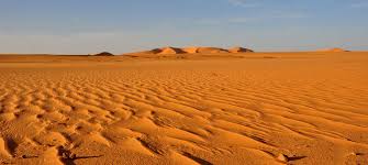 Risultati immagini per deserto