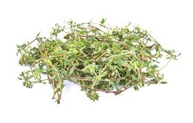 Image result for Glinus