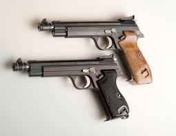 En almindelig pistol samt en version til skjult bæring, og de skal erstatte alle pistoler i forsvaret såsom forsvarets m/49, der ofte går under navnet neuhausen. Larvatus Prodeo Livejournal