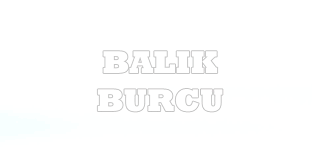 Aslan burcu insanı renk olarak güneşin renklerini sever. Burc Renkleri Ve Anlamlari Evim