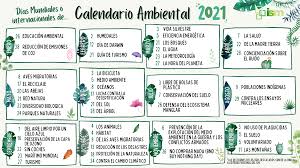 Ver más ideas sobre dia del medio ambiente, día de la tierra, medio ambiente actividades. Las Fechas Mas Importantes Para El Medio Ambiente De 2021