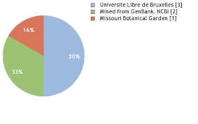 Image result for Aneulophus africanus