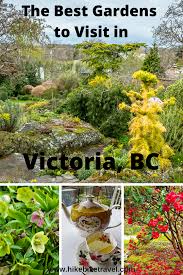 3 Of The Best Gardens In Victoria Bc To Visit With Images Amazing Gardens Butchart Gardens Buchart Gardens