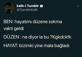 Ayse Kucukseren Adli Kullanicinin Jdjdjdjdj Panosundaki Pin 2020 Komik Seyler Alayci Sozler Basarili Sozler