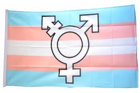 2 stück transgender flaggen aus polyester. Flagge Fahne Transgender Pride Symbol Gunstig Kaufen Maison Des Drapeaux Com