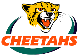 The champion franchise undertook an extensive. Cheetahs Rugby Rugby Logo Rugby Union Teams Super Rugby