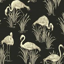 Arthouse Birds Of Paradise Vinyl Wallpaper Arthouse Lagoon Black Wallpaper Flamingo Wallpaper Textured Wallpaper Black Wallpaper