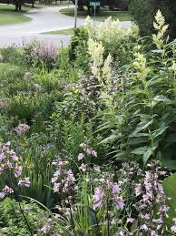 Ostin Ejshajd Sad Dizajn Garden Design Garden Design