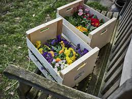 Gegen eine lieferpauschale liefern wir wagenladungen in das gesamte stadtgebiet bremerhaven und auch in das stadtgebiet bremen (im stadtgebiet bremerhaven +10 km umkreis 10 € und im stadtgebiet bremen 25 €). Blumenkiste Hamburg Lieferservice Blumen Nach Hause Liefern Lassen Hof Eggers Bio Bauernhof In Kirchwerder Bei Hamburg