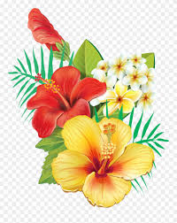 Sketch hibiscus brush stroke tropical flower maui icon teens sun hibiscus flower clip art rose of sharon hawaiian clip art hibiscus icon botanic sketch summer swirl. Tropical Hibiscus Flowers Clipart Full Size Clipart 713084 Pinclipart