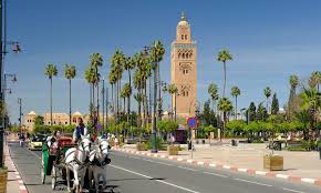Maybe you would like to learn more about one of these? Marrakech Express 4 Days Anzaltours