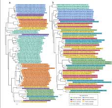 Image result for Humularia minima