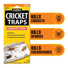 Browse through our selection of best ultrasonic pest repellers 2020 list below. Harris Cricket Glue Traps 2 Pack Walmart Com Walmart Com