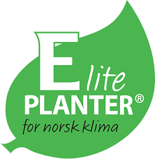 Elegante blomsterklaser og det er mye av dem. Eliteplanter Norge Sa Trygt Og Baerekraftig Plantevalg Kjop E Planter
