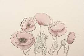 Mattel requests the trademark for poppy o'hair. How To Draw Poppies Flowers Realistic Easy Step By Step