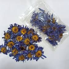 Unlike most purchases of blue lotus, this dies not have any woody stems, no white petals in the mix. Dongliflower Dried Natural Blue Lotus Flower Egyptian Nymphaeaceae Caerulea Herbal Tea 30 Grams Lazada Ph