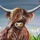 Acrylic Painting "Highland Cow" - NEW Class Oct. 21 event image