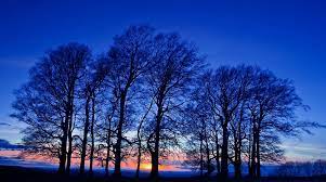 1920x1080 Hd 16 9 High Resolution Desktop Wallpapers For Widescreen Fullscreen High Definition Dual Monitors Uhd Wallpaper Blue Sunset Field Wallpaper