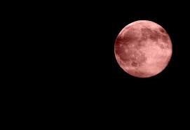 That's the day the strawberry moon, the last supermoon of 2021, will bring a luminous glow to the night sky. Full Moon In June 2021 Will Be A Super Strawberry Moon Nj Com