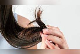 Check spelling or type a new query. Cuantos Centimetros Por Dia Crece El Cabello Lifehacks De Luisa Olvera