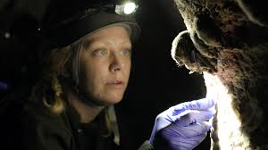 Best source for Marin County lifestyle news.