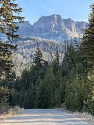 jieun @jieun1715 - Twitter Profile | Sotwe