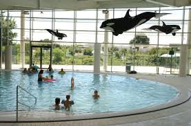 Piscine Amphitrite A St Jean De Vedas Montpellier Mediterranee Metropole