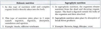Difference Between Saprophytic And Holozoic Nutrition Nutrition Pics